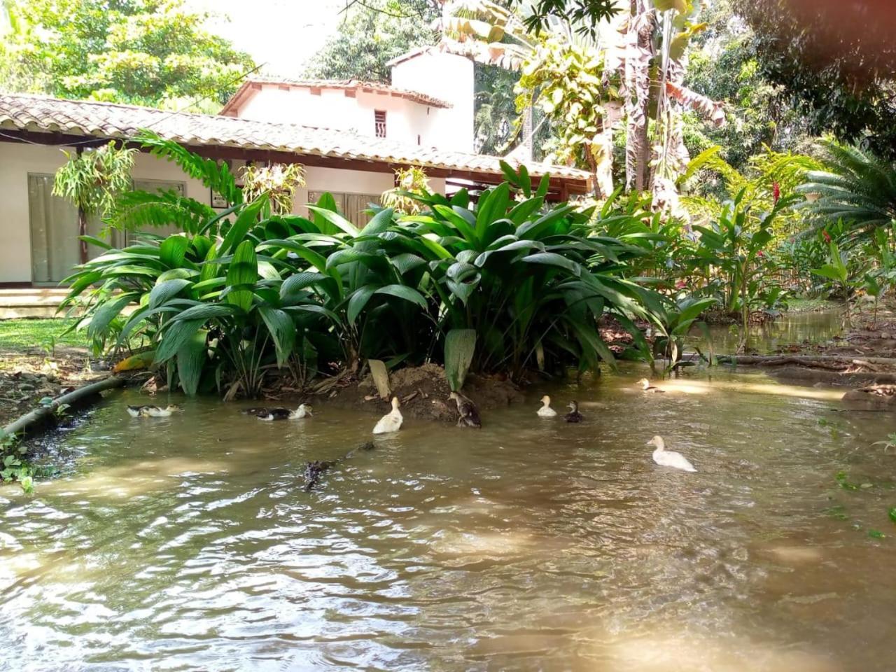 Finca Hotel La Estancia Santa Fe de Antioquia Eksteriør bilde