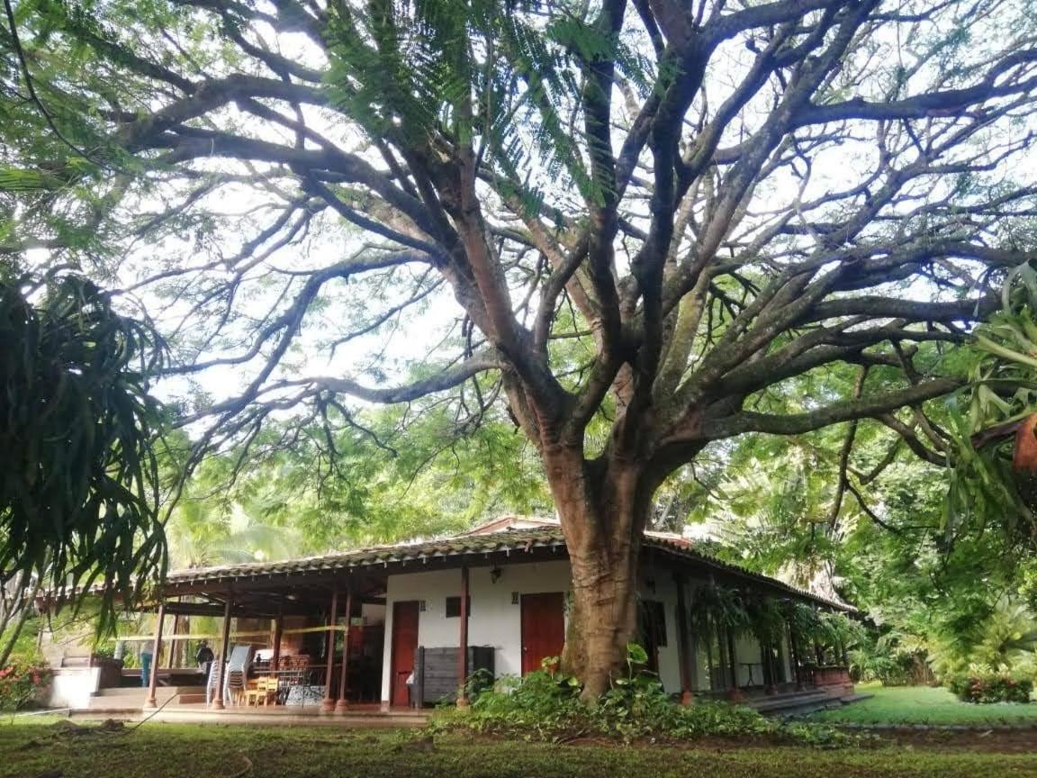 Finca Hotel La Estancia Santa Fe de Antioquia Eksteriør bilde